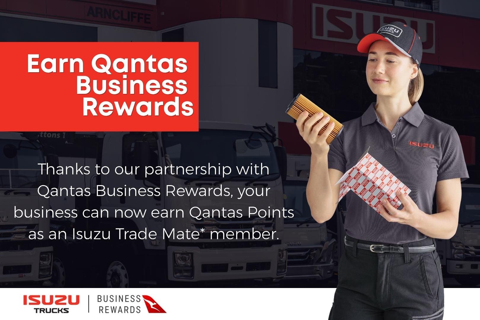 2025 Isuzu N Series NLR 45-150 DT D34 Traypack image 13