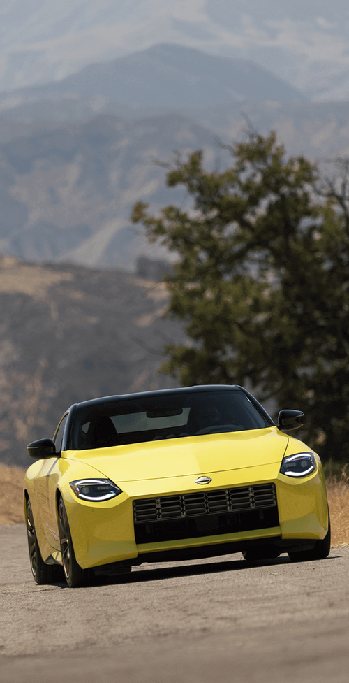 All-New Z