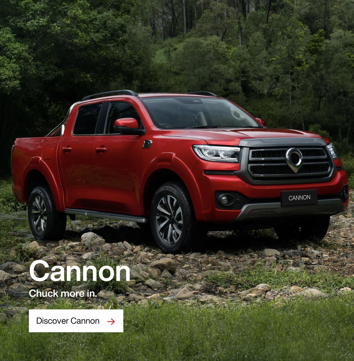 Cannon