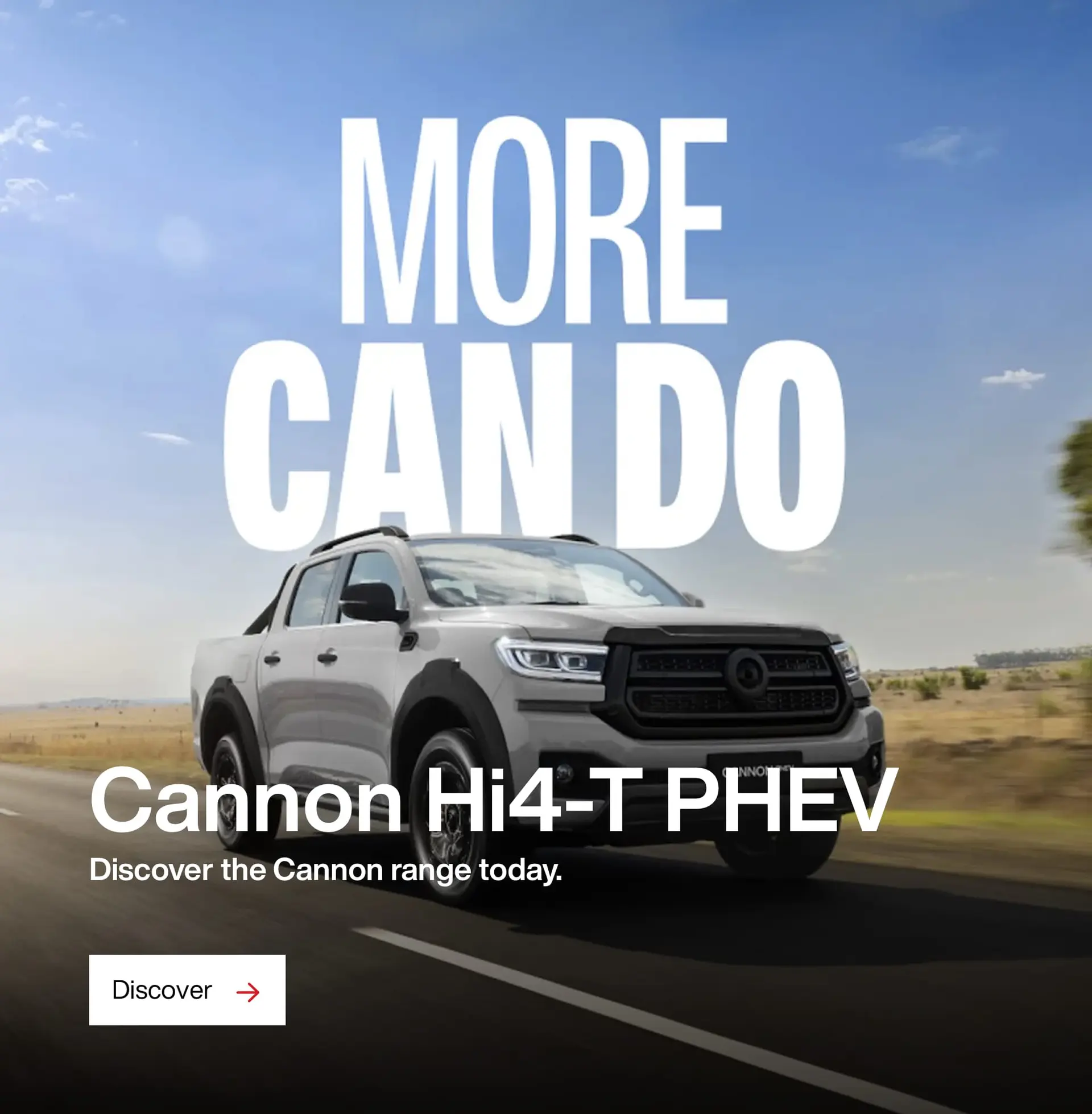 Cannon