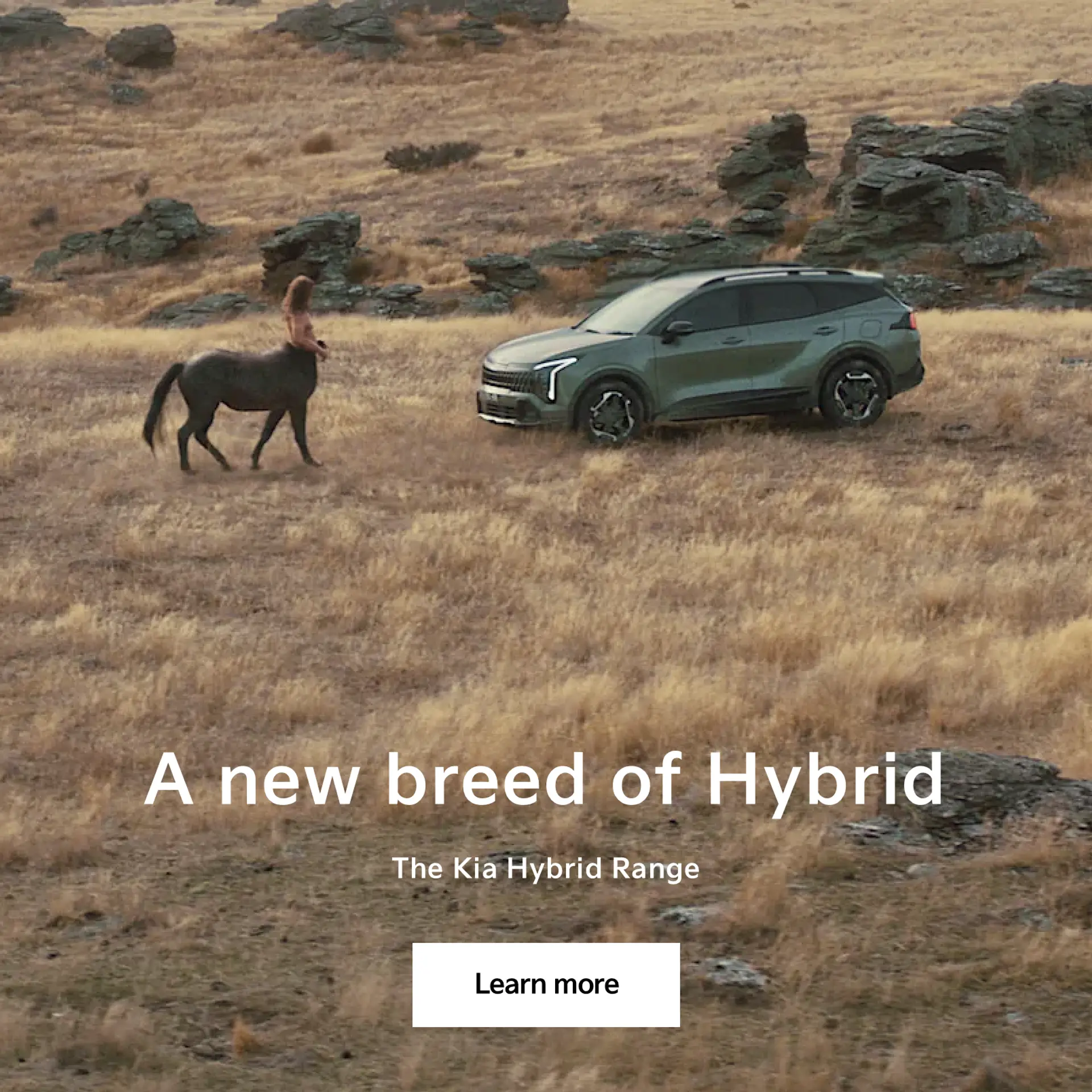 Hybrid Cars