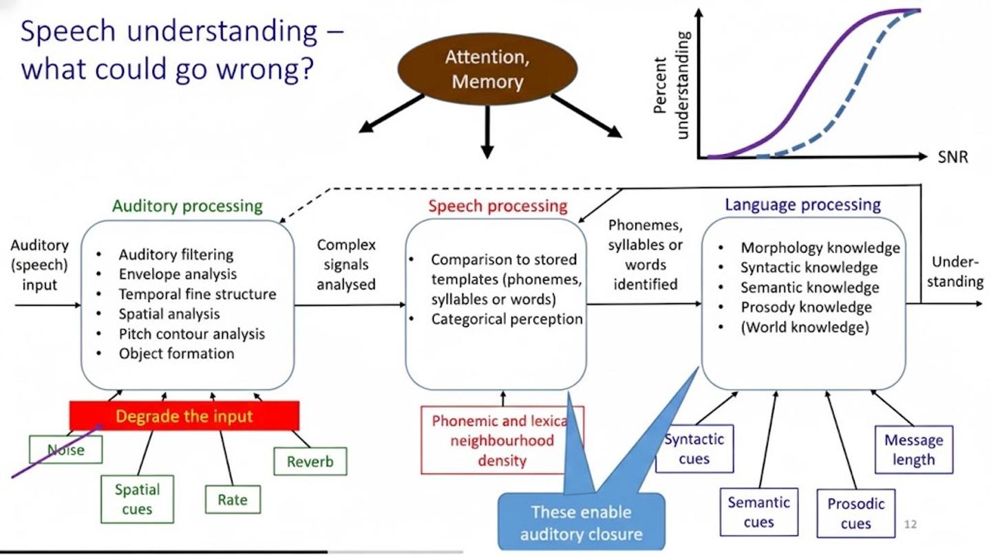 Auditory processing disorder and ADHD