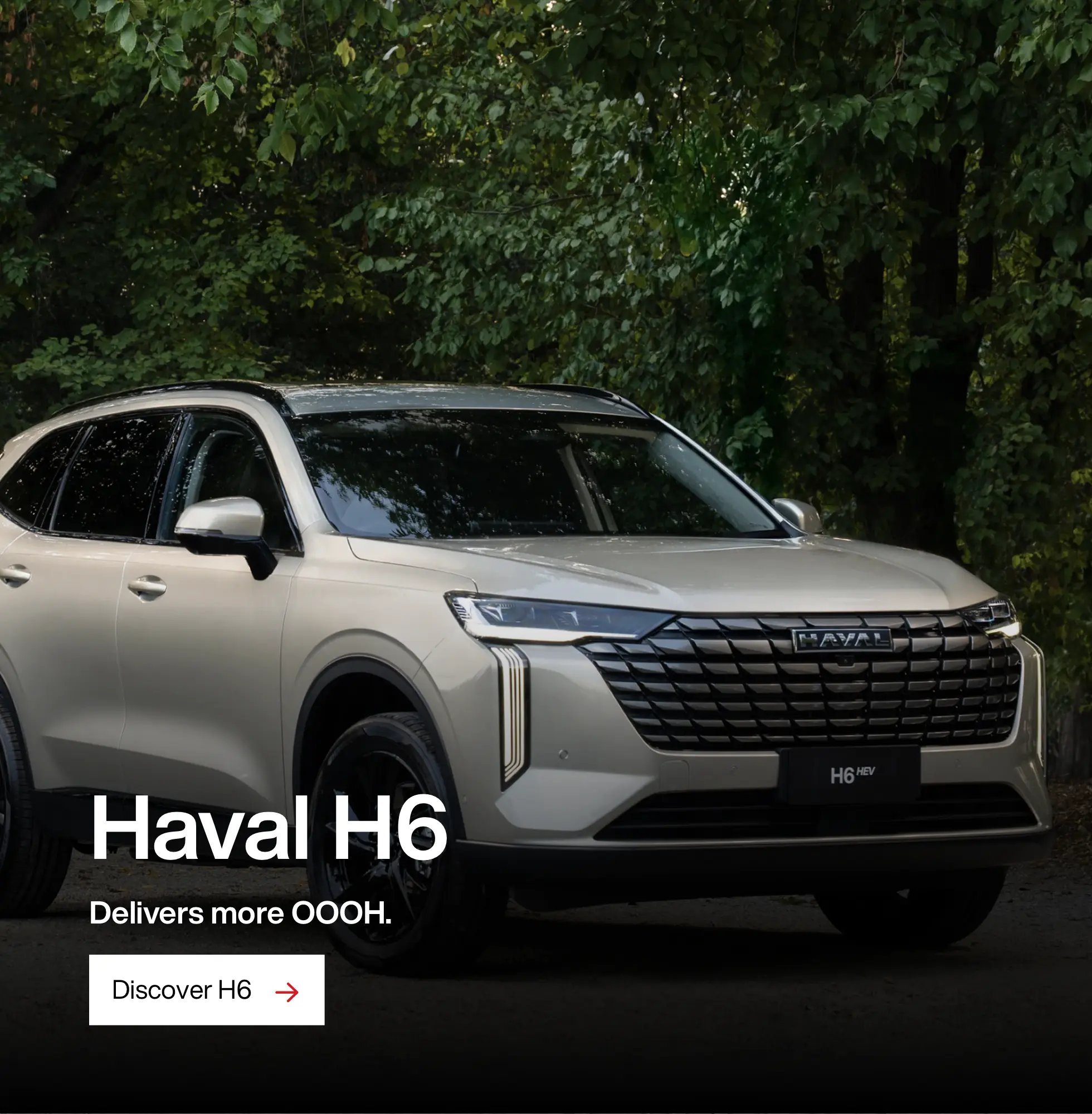 H6